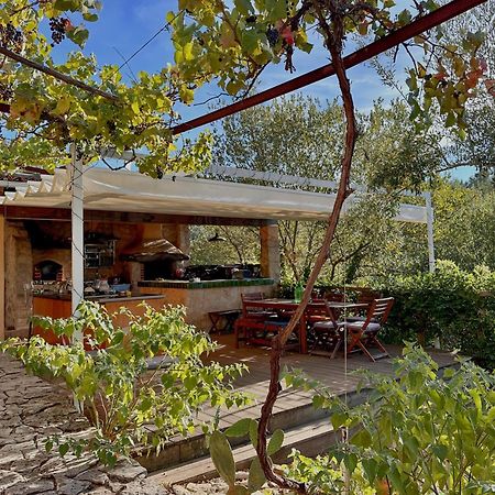 Отель Glamping Do Ze Cernache do Bonjardim Экстерьер фото