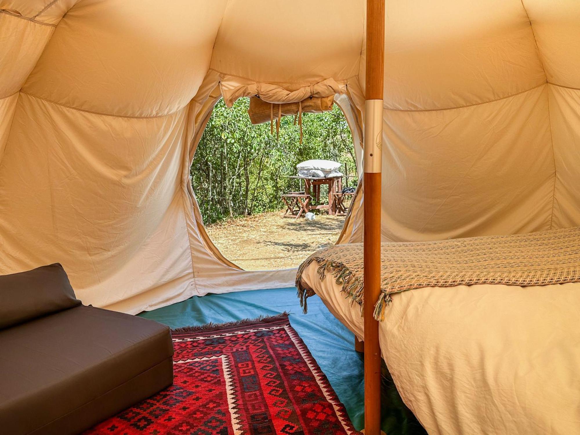 Отель Glamping Do Ze Cernache do Bonjardim Экстерьер фото